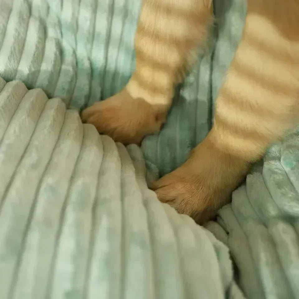 Dog or Cat Bed