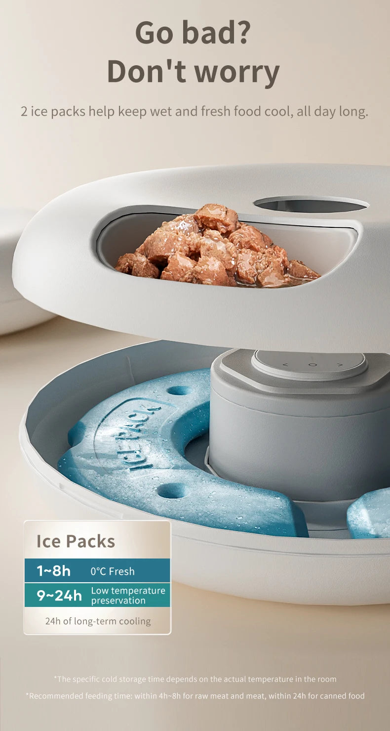 Automatic Pet Feeder