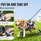 2 Wheels Pet Wheelchair for Back Legs